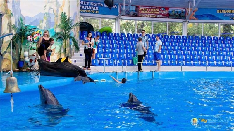 SIDE DOLPHIN SHOW - SEALANYA